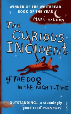 Curious Incident of The Dog - 3