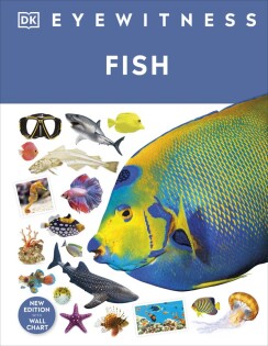 Fish - Dorling Kindersley