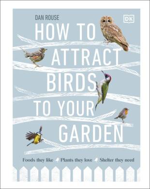 How to Attract Birds to Your Garden - 1