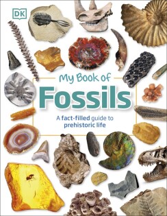 My Book of Fossils - Dorling Kindersley
