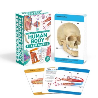 Our World in Pictures Human Body Flash Cards - Dorling Kindersley
