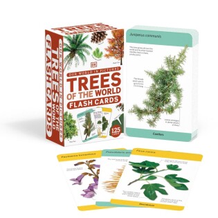 Our World in Pictures Trees of the World Flash Cards - Dorling Kindersley